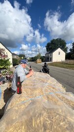 IMG_1387.jpeg IMG_1387.jpeg
