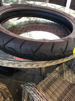 IMG_2242.jpeg