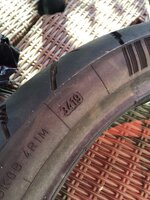 IMG_2241.jpeg