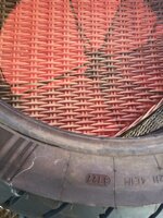 IMG_2239.jpeg