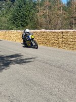 IMG_1597.jpeg