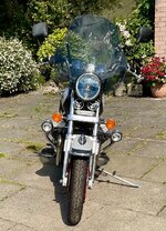 IMG_2920.jpeg