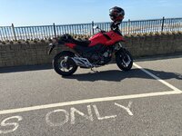 IMG_3108.jpeg