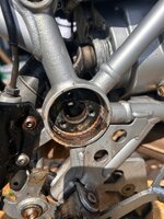 IMG_6920.jpeg