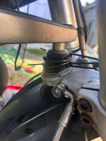 IMG_6940.jpeg