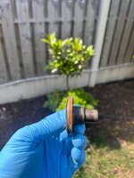 IMG_6918.jpeg IMG_6918.jpeg