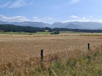 20260824_134743.jpg 20260824_134743.jpg
