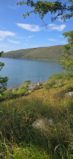 20260824_160319.jpg