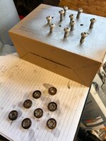 IMG_6954.jpeg