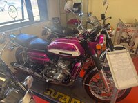 IMG_2303.jpeg