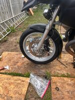 IMG_6979.jpeg