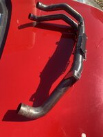 IMG_5342.jpeg IMG_5342.jpeg