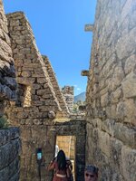 PXL_20260825_151434509.MP.jpg