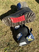 IMG_3126.jpeg IMG_3126.jpeg