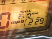IMG_2312.jpeg