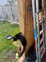 IMG_7049.jpeg IMG_7049.jpeg