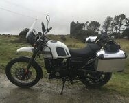 IMG_8371.jpeg
