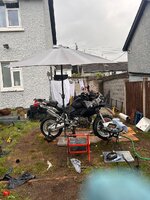 IMG_7124.jpeg IMG_7124.jpeg