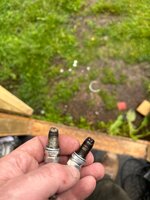 IMG_7144.jpeg IMG_7144.jpeg