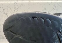 IMG_3308.jpeg
