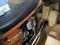 IMG_2537.jpeg