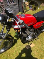 IMG_4164.jpeg