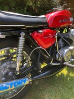 IMG_4174.jpeg