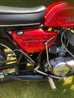 IMG_4173.jpeg