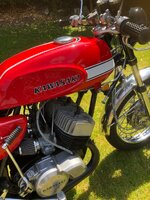IMG_4170.jpeg