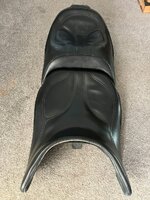 IMG_9187.jpeg