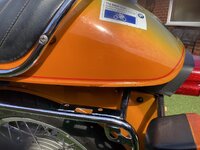 IMG_2546.jpeg