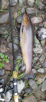 20260830_080544.jpg