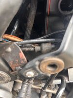 IMG_7283.jpeg IMG_7283.jpeg