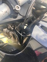 IMG_7280.jpeg IMG_7280.jpeg