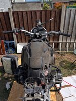 IMG_7286.jpeg