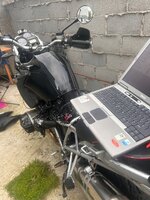 IMG_7292.jpeg