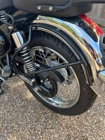 IMG_0279.jpeg