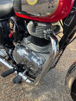 IMG_0277.jpeg