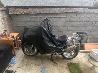 IMG_7316.jpeg