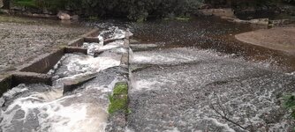20260901_193951.jpg