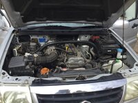 IMG_1002.jpeg