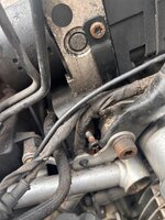 IMG_7337.jpeg