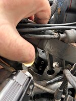 IMG_7341.jpeg IMG_7341.jpeg