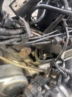 IMG_7348.jpeg IMG_7348.jpeg