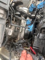 IMG_7345.jpeg IMG_7345.jpeg