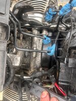 IMG_7346.jpeg IMG_7346.jpeg