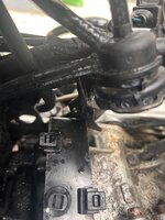 IMG_7363.jpeg IMG_7363.jpeg
