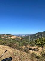 IMG_0935.jpeg