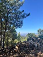 IMG_0937.jpeg