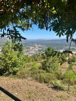 IMG_0944.jpeg